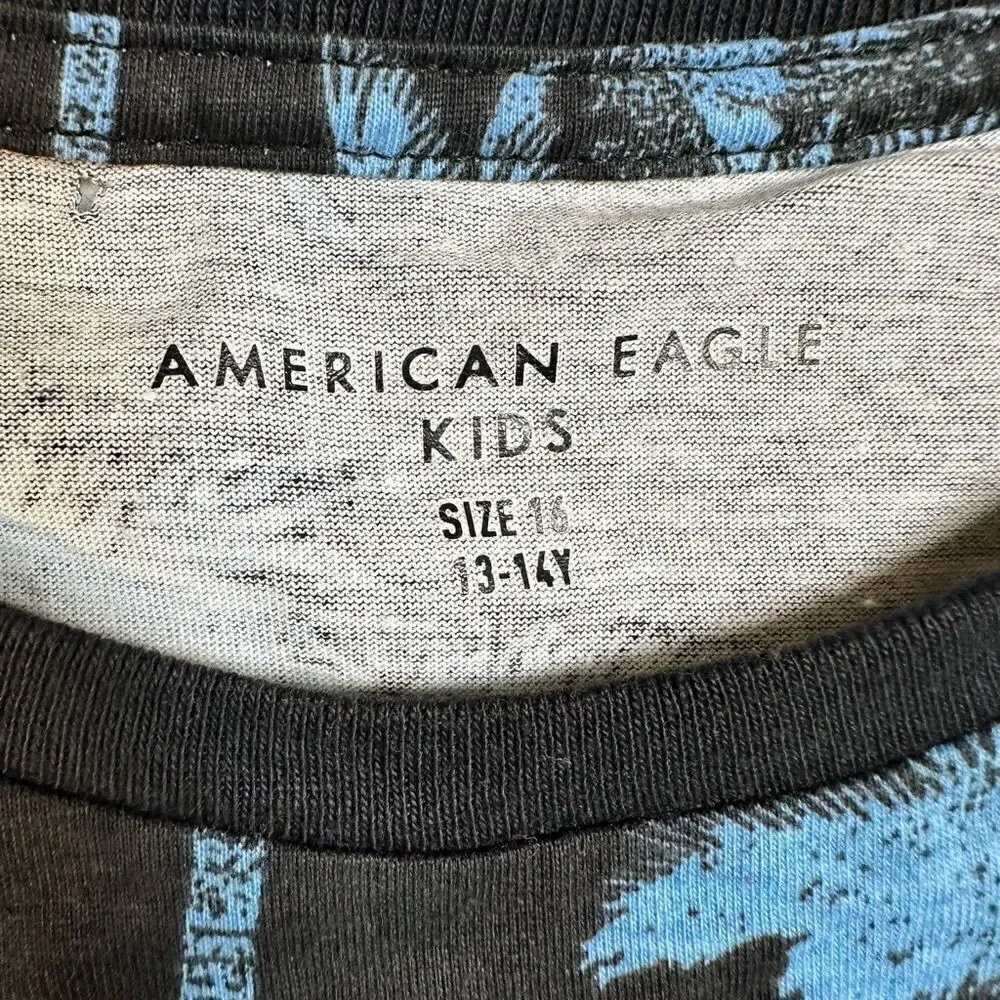NWT American Eagle Kids Boys 2 Short Sleeve Tee Shirts Gray Logo Blue Palm - 14